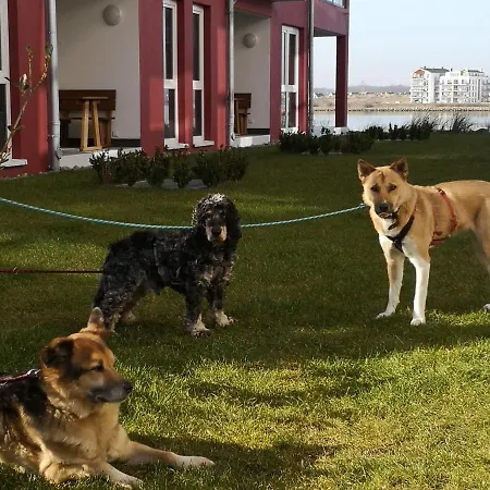 Residenz Bollwark 3 2 Lejlighed