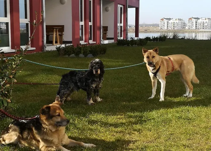 Residenz Bollwark 3 2 Apartamento